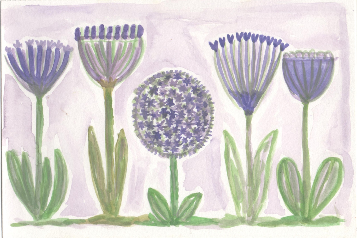 Fundo tons de lilás claro e flores roxas e caule verde.jpg